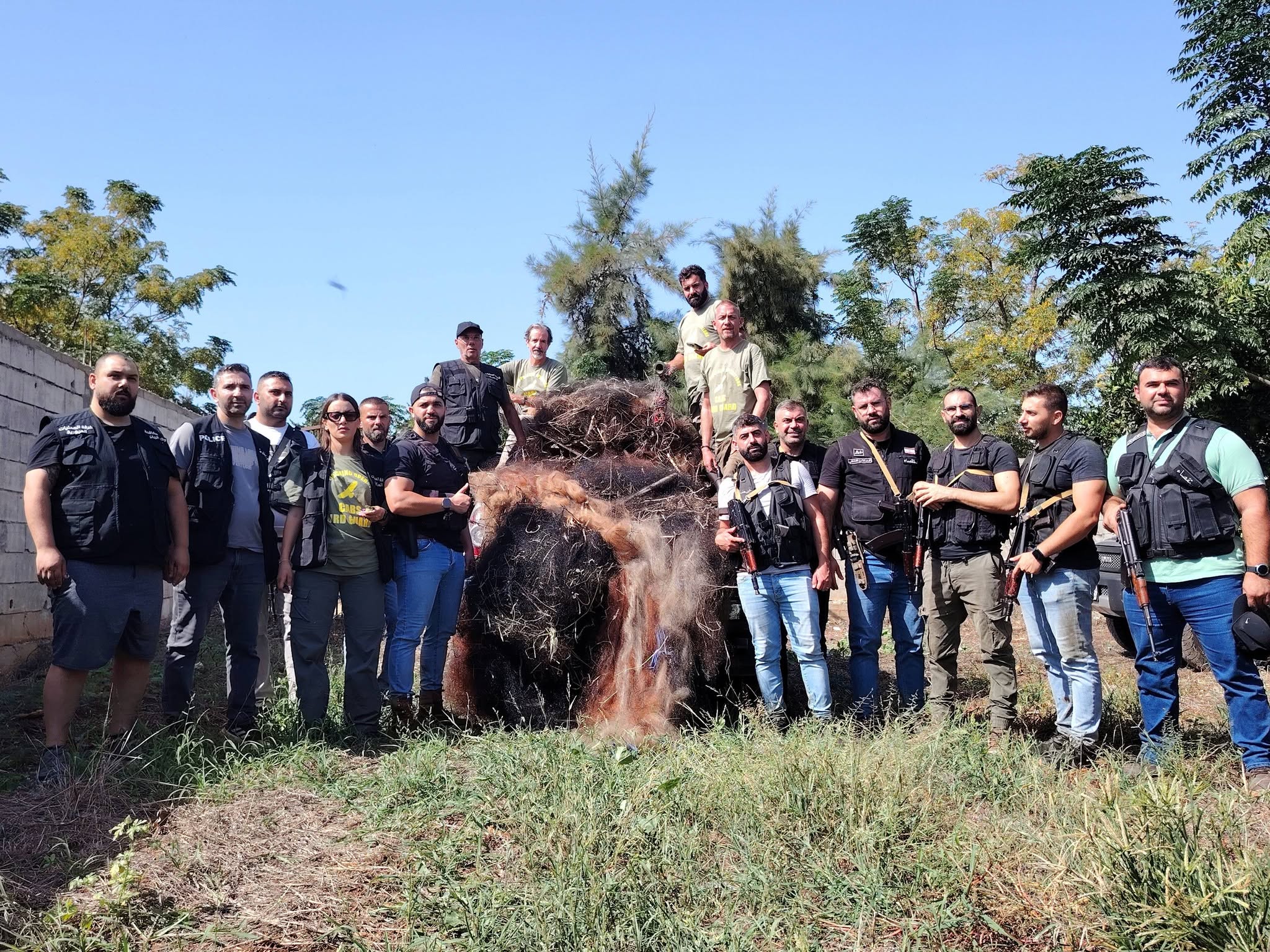 In Just 4 Hours… 24,750 Square Meters of Bird-Killing Nets Removed in Northern Lebanon